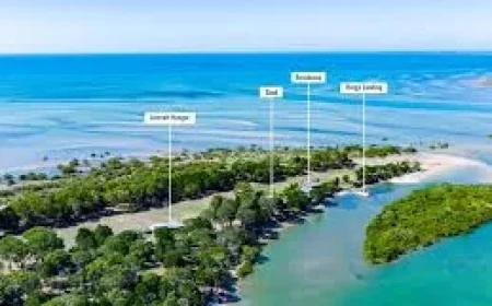Toogoom Island Faces 403 Permission Denied on Real Estate