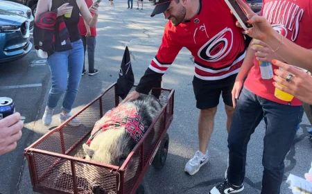 Mark Stone urges patience as Golden Knights Vs Hurricanes open Game 1
