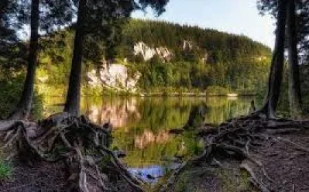 Squamish RCMP recover 2 from Browning Lake