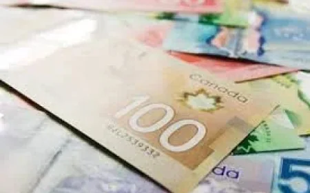 Marjorie Michel annonce un Impôt bonifié de 25 % et un versement