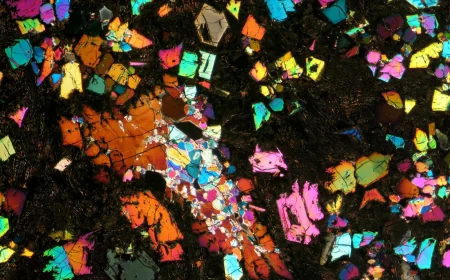 Aaron Bell Links Meteorite NWA 12774 to Lost World