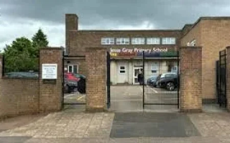 Nine pupils taken to hospital after Jesse Gray Primary School seeds incident