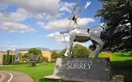 Jon Groenen says suspect detained after Surrey Crossbow shooting