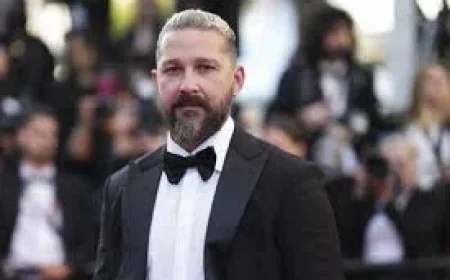 Shia Labeouf Sentencing Ends With 2 Years of Probation