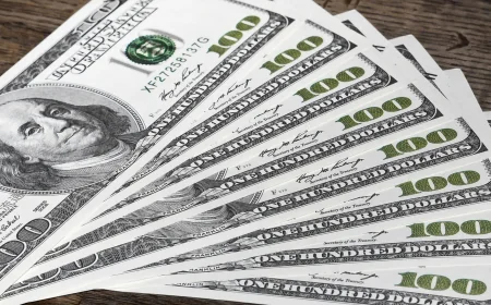Bausili impulsa Mercado Cambiario con dólar oficial a $1.455
