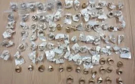 Dan St Quintin backs Appleby Horse Fair live facial recognition Pyramid Rings