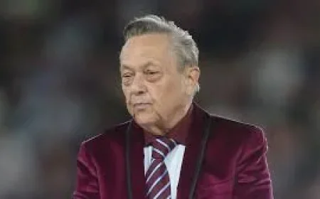 David Sullivan blamed for West Ham's slide to relegation