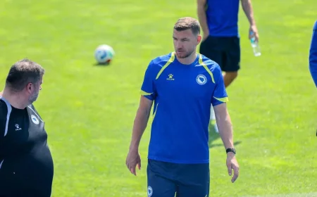Barbarez Restará a Džeko en Panamá - Bosnia Y Herzegovina