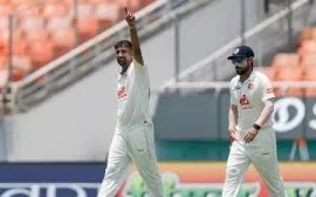 Abdul Malik profiles Saleem Safi after 6/140 against India
