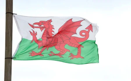 Jones complaint triggers review of 400-signature North Wales flag petition