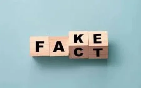 Labour's Chi Onwurah warns Misinformation hits 4.4 million in UK news deserts