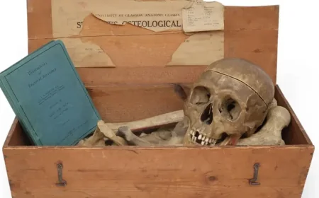 Anita Manning auction house pulls £500 human bones sale