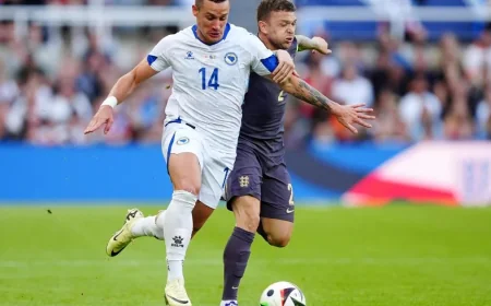 Laurent D’Affnay set for Bolton Wanderers F.c. scouting role