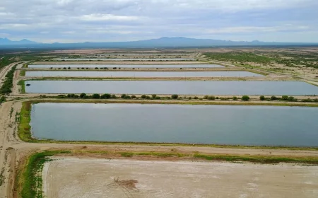 Doug Burgum moves Lake Mead states toward 2026 water fight