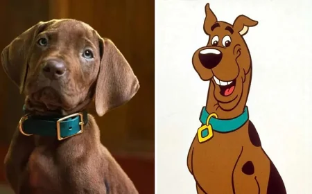 Scooby Doo Origins draws backlash over live-action Great Dane choice