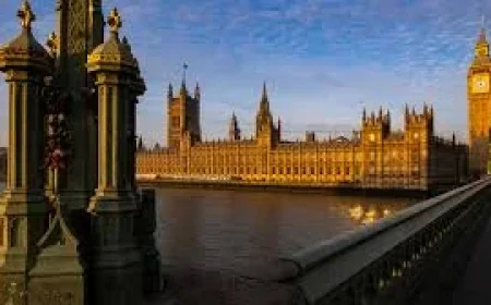 Mullineaux backs ban on Flea Treatments as 80% support sale limits