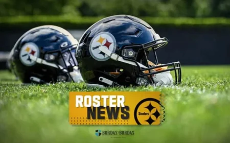 Steelers Roster Changes Brandon Johnson: Pittsburgh Adds Aidan Laros