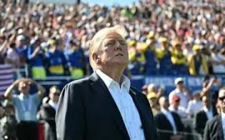 Donald Trump Attends Game 3 as Knicks Fall 115-111 — Nba Game 4