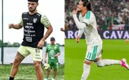 Algeria Vs Bolivia Lineups Show 4-3-3 And 4-3-1-2