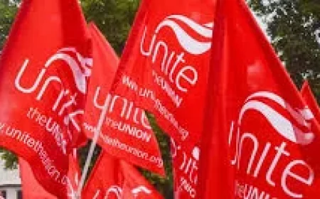 Emma Little-pengelly brands Good Jobs Bill half-baked in Assembly