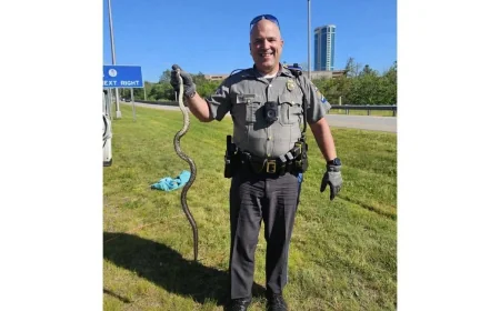 Troop E Trooper Car Removes Snake From Route 2 Car