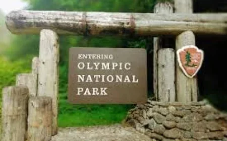 Joseph Louis Serrao Jr. identified after 26 years in Olympic National Park