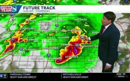 Kwwl: 54-year-old man dies after Des Moines tree strike