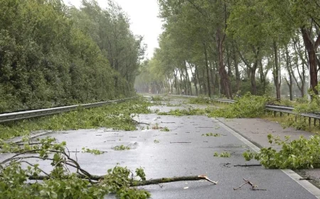 Naperville Weather: LaCloche Says 450 Still Without Power After 68 mph Gusts