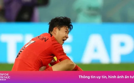 Son Heung-min Uses 255-260 Mm Boots for Corée Du Sud – Tchéquie