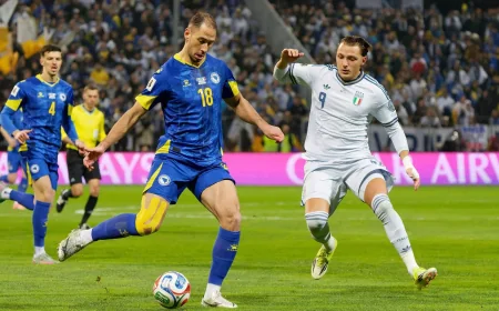 Nikola Katic Says Bosnia and Herzegovina Are At World Cup on Merit