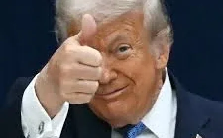 Jonathan Lemire Warns Trump Is in a Ms Now Echo Chamber