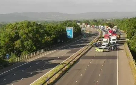 Police halt M5 Taunton traffic after reports of person in road