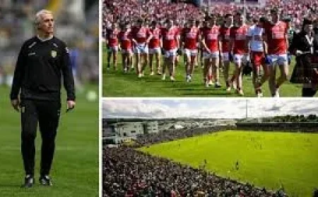 Cork Rally Past Donegal 0-17 to 1-13 in Donegal Gaa