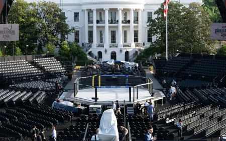 Trump Hosts UFC Event for 14 Fighters at White House on Sunday — Ufc 250