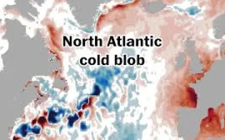 Atlantic Meridional Overturning Circulation monitoring faces €1bn threat