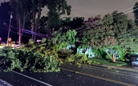 Littmann Says Annapolis Storm Left Nearly 800 Without Power