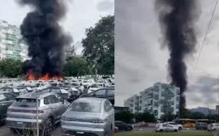 Gaspi Murio: seis muertos tras choque de helicópteros en Río de Janeiro