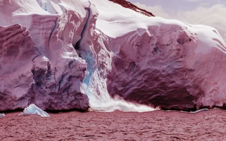 Antarctica logs 15.4C on Trinity peninsula in June heat