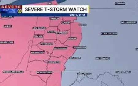 Duquesne Light reports more than 2,400 outages Friday morning