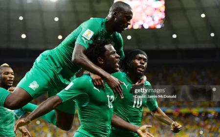Samaras Ends Ivory Coast National Football Team Games With 2-1 Greece Win