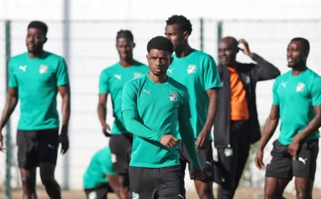 Faé Leads Côte d’Ivoire Into Ecuador World Cup Opener