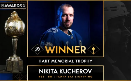 Kucherov Wins Second Hart Trophy on 130-Point Season — Nhl Mvp