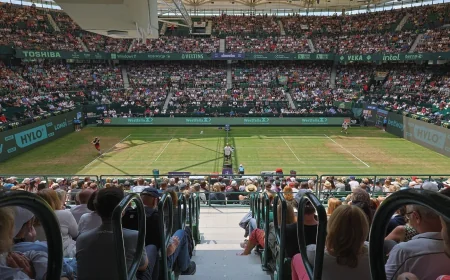 Félix Auger-aliassime Draws Nuno Borges as No. 2 Seed in Halle