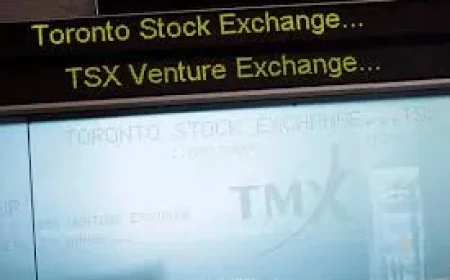 Rbc Stock Price Cut to $285 as Adobe Outlook Repriced