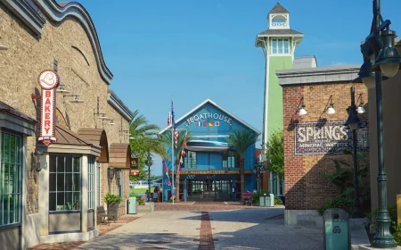 Disney Springs bus verification set to return before July 4