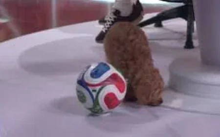 Spain Hold Cape Verde Goalless at 40 Minutes in World Cup 2026 — Cape Verde National Football Team Games