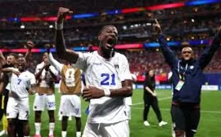 Bear Poops Live, Then Picks New Zealand — Spain Cape Verde Prediction