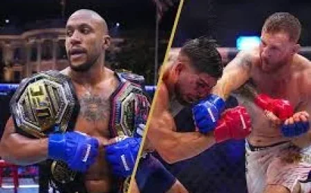 UFC Says White House Fighters Get $250,000 Bonuses in Corruption Crypto
