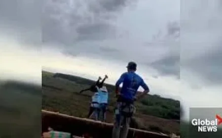 Six Arrested in Brazil After Skeleton Bridge Bungee Death — Bungee Jump Brazil