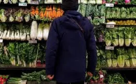 Canada Grocery Competition Plan Faces Indoor Farming Capacity Limits